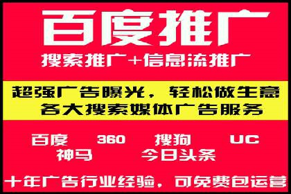 顶级SEM服务公司案例解析